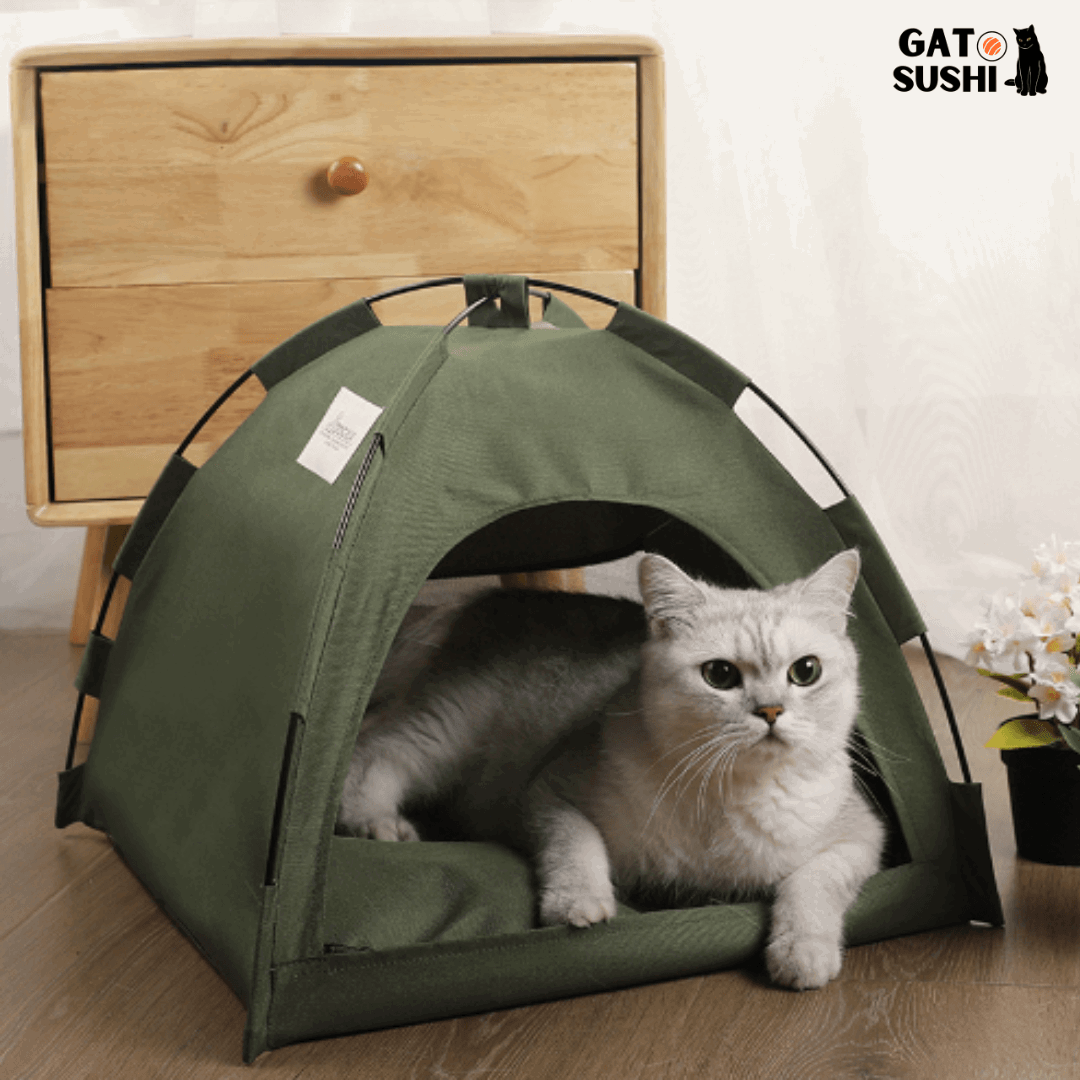 Caminha de Barraca para Gatos - BarraCat - Malibu Express