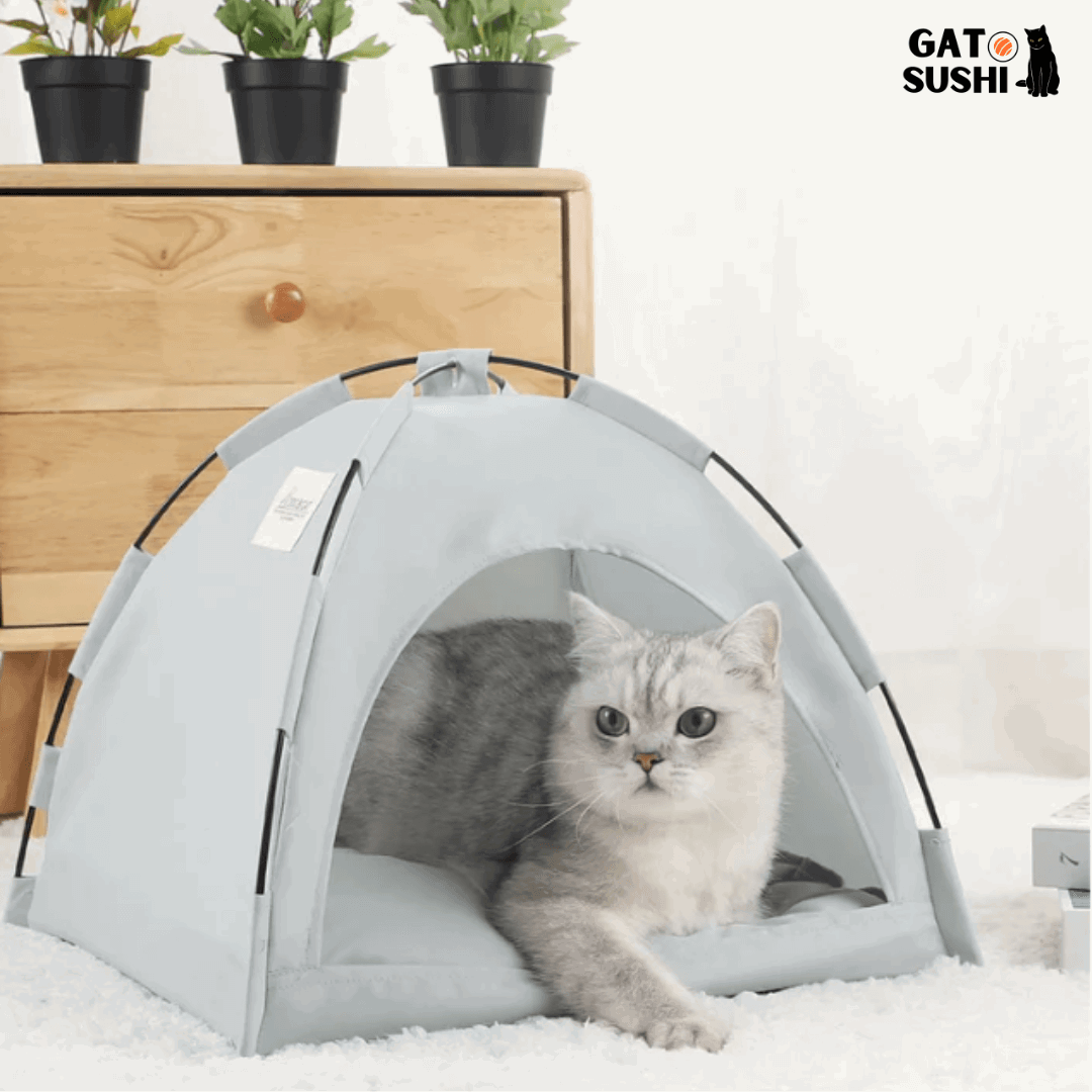 Caminha de Barraca para Gatos - BarraCat - Malibu Express