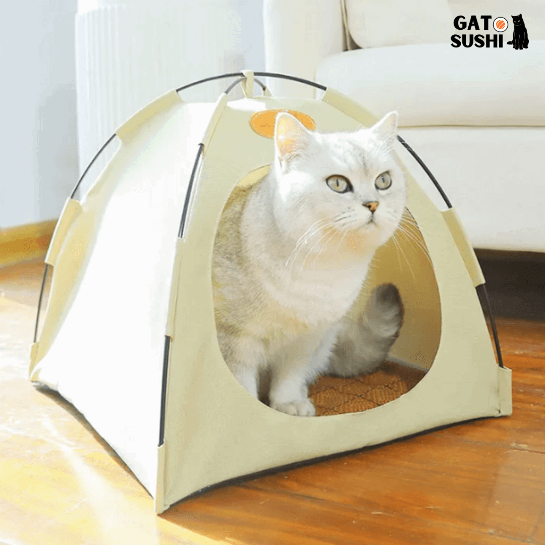 Caminha de Barraca para Gatos - BarraCat - Malibu Express