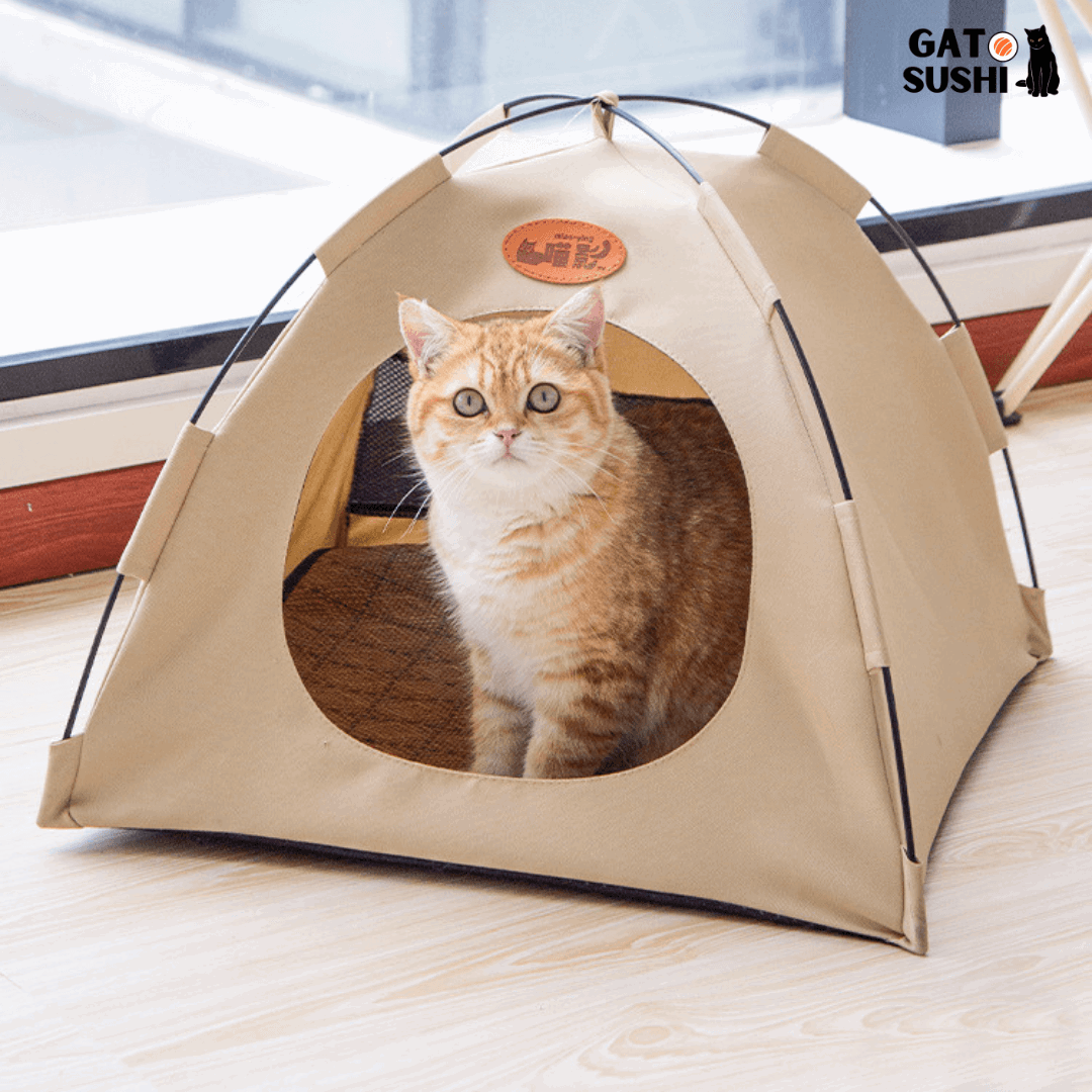 Caminha de Barraca para Gatos - BarraCat - Malibu Express